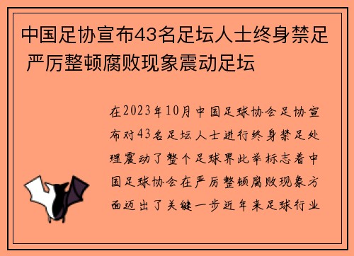 中国足协宣布43名足坛人士终身禁足 严厉整顿腐败现象震动足坛